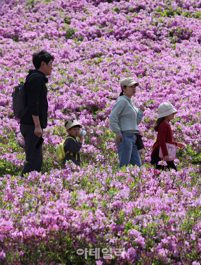 '가족과 함께 걷는 철쭉길'                                                                                                                                                               