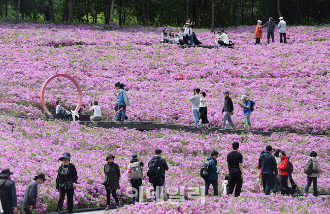2024 불암산 철쭉제, '기분이 좋아요'                                                                                                                                                     