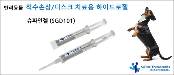 "반려동물 디스크. 척수손상 치료에 청신호가 켜졌다" - 뉴스 썸네일 이미지