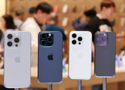 '아이폰의 굴욕' 중국 내 출하량 19% 급감…시장점유율 3위 '추락'