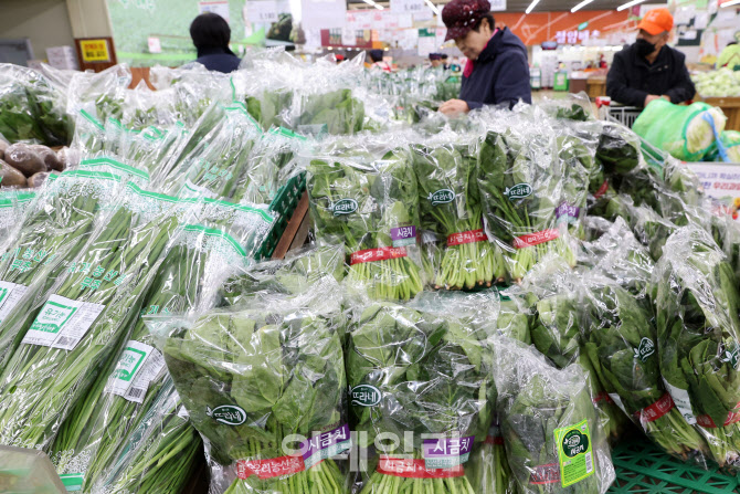 치솟는 과일·채소값에…생산자물가 4개월 연속 상승                                                                                                                                                 
