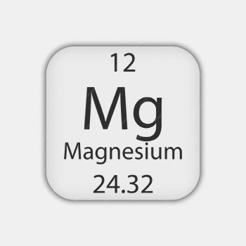 식물 광합성에 없어서는 안되는 '마그네슘'