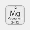 [금속이야기]식물 광합성에 없어서는 안되는 '마그네슘'