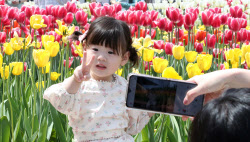 [포토]화려한 봄꽃과 어린이                                                                                                                                                                              