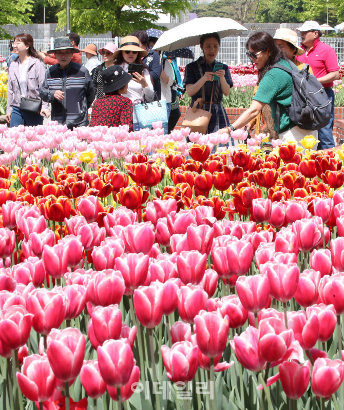 화려한 꽃과 함께 즐기는 봄                                                                                                                                                                        