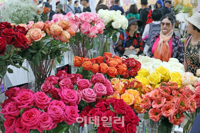 장미 색상이 이렇게나 많아?                                                                                                                                                                        