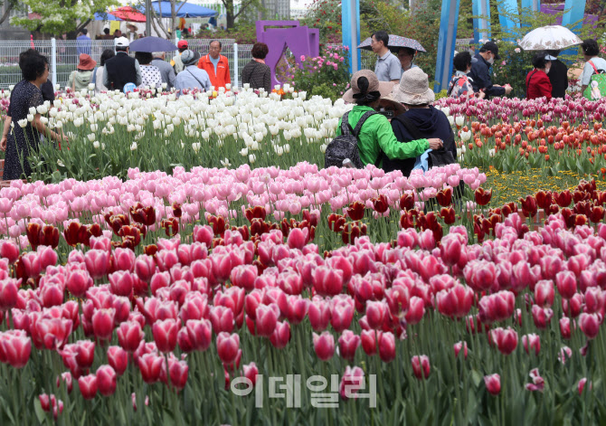  튤립 정원                                                                                                                                                                                        