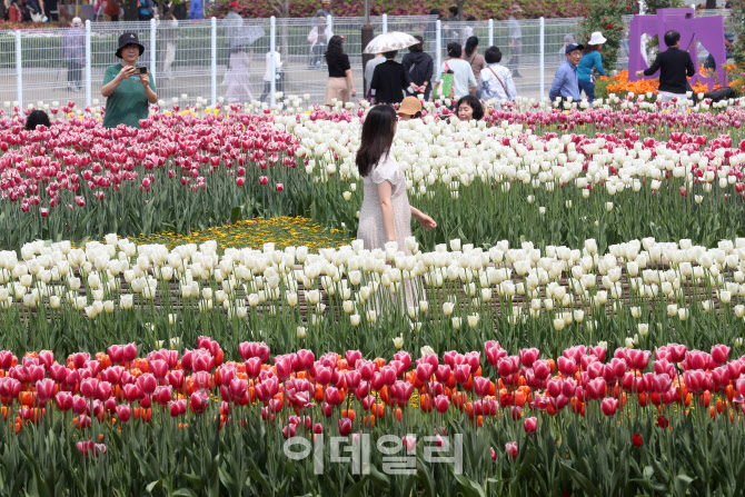  꽃박람회 나들이                                                                                                                                                                                  