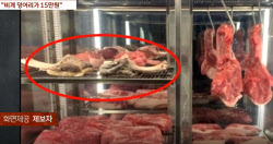 “제주 ‘비계 삼겹살' 식당, 상한 고기 팔았다” 전 직원의 폭로