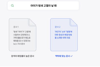 네이버, 웹 검색 AI 기술 업데이트…티스토리 영향?