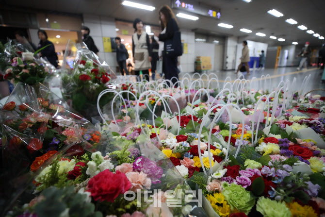 카네이션 판매하는 화훼상가                                                                                                                                                                        