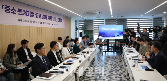 중소·벤처기업 글로벌화 지원 대책 간담회                                                                                                                                                          