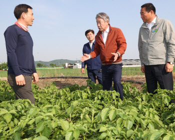 감자 생육동향 점검하는 강호동 농협 회장