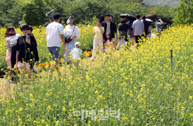 '구리 유채꽃축제'                                                                                                                                                                       