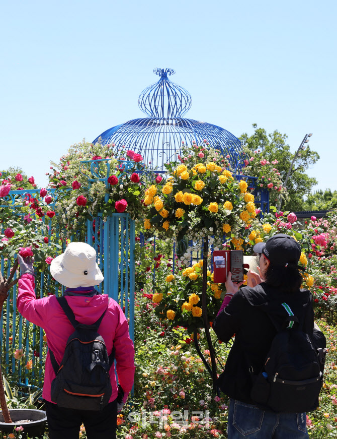 더 가까이 담을래요                                                                                                                                                                                