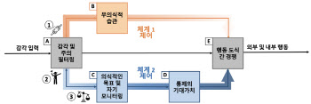 KAIST, '먹방' 등 무분별 음식콘텐츠 악영향 방지한다