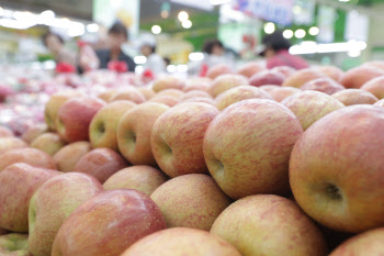 "사과·배 평년 수준 이상 생산 전망"…농식품부, 생육관리 총력