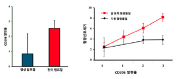 "자궁암 수술 중 림프절 전이 유무 확인. 제거 가능 수술법 개발"