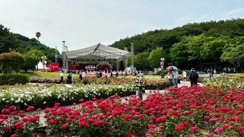 ‘300만 송이 장미가 활짝’…SK이노·울산시가 함께 피운 꽃