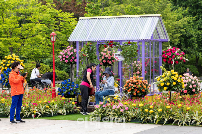  영등포공원에서 열린 정원축제                                                                                                                                                                     