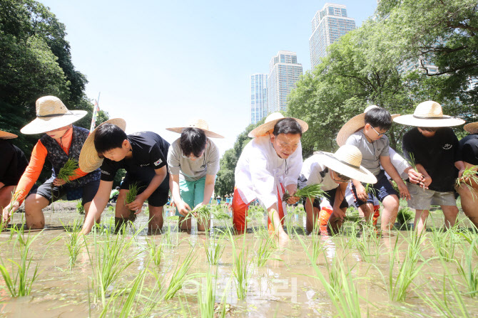 조성명 강남구청장, 아이들과 모내기 행사                                                                                                                                                           