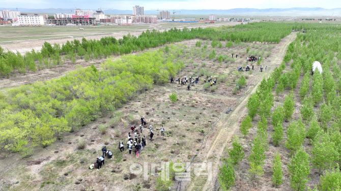 대한항공 숲                                                                                                                                                                                       