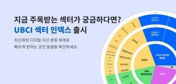 "32개로 가상자산 분류"…업비트, UBCI 섹터 지수 출시