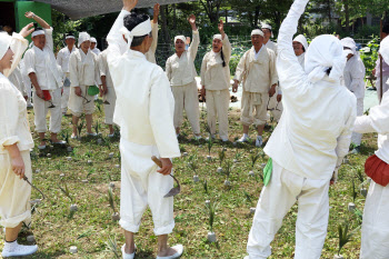 마들농요와 함께하는 모내기 체험