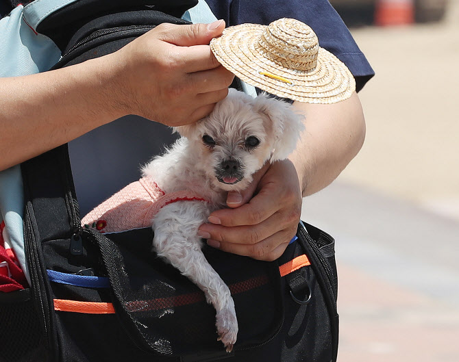 '고맙습니다 주인님'                                                                                                                                                                           