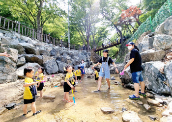 경기도, 여름철 계곡 불법행위 재발방지 '집중점검'