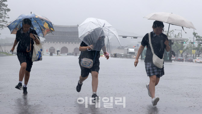 본격적인 장마 시작                                                                                                                                                                                