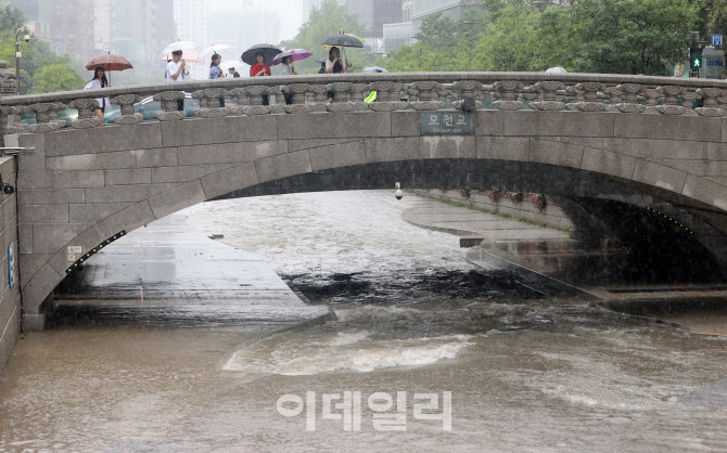 산책로까지 차오른 물                                                                                                                                                                              