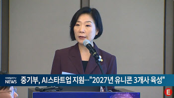 중기부, AI 스타트업 지원..."2027년까지 유니콘 3개사 육성"