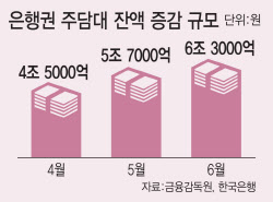 '영끌 폭발' 9억이하 쓸어담았다…가계빚 한 달 6조 급증