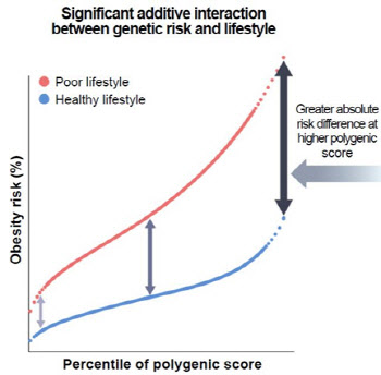 생활습관 개선으로 유전적 비만 및 관련 질환 위험 극복