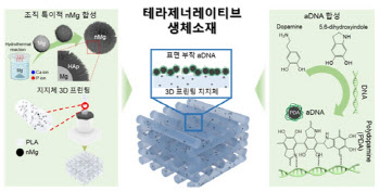 가톨릭대, 골육종 치료와 뼈 재생 촉진 동시에 잡는다