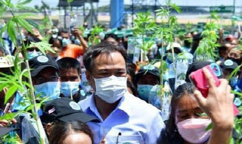 태국 "마약 합법화 유지 vs 재지정 사이에서 '갈팡질팡'"