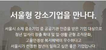 ‘성인 콘텐츠 유통’이 청년 선호기업?…서울시 강소기업 선정 기준 ‘논란’