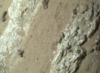 화성에서 흥미로운 돌 발견한 로버···생명체 흔적일까?