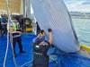 삼척항서 3톤 밍크고래 혼획…1억 1731만원에 위판