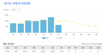 "경기도에 무슨일이?"…아파트 거래 급증에 매매가도 상승