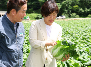 폭우·폭염에 먹거리 물가 불안…농림 장관, 매일 수급상황 점검