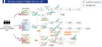 소아 급성림프모구백혈병, 통합 치료 시스템 구축