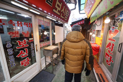 [단독]개 사육농가 보상 ‘마리당 30만원'…정부, 3년간 총 4500억 검토