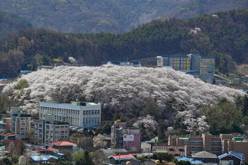 2027년까지 국민 1인당 도시숲 면적 15㎡까지 늘린다