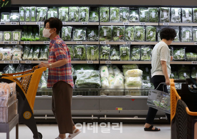  폭염 폭우에 채소값 상승세                                                                                                                                                                        