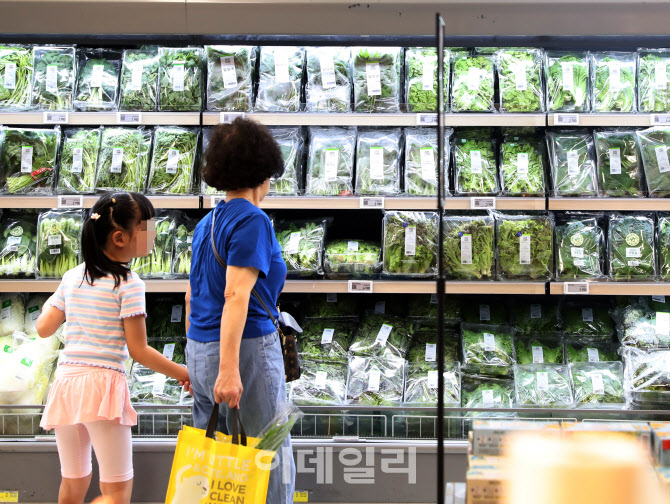  더운 날씨 속 채소가격 상승                                                                                                                                                                       
