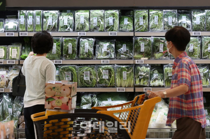  폭염날씨 채소 가격                                                                                                                                                                               