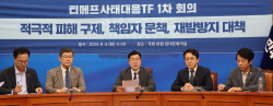 [포토]더불어민주당, '티메프사태대응 TF 1차 회의'                                                                                                                                              