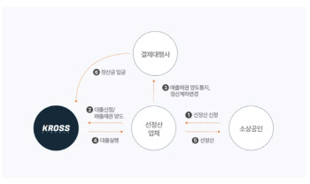 "온투업 600억" "배달업 85억"…'티메프 판박이' 사건 발생